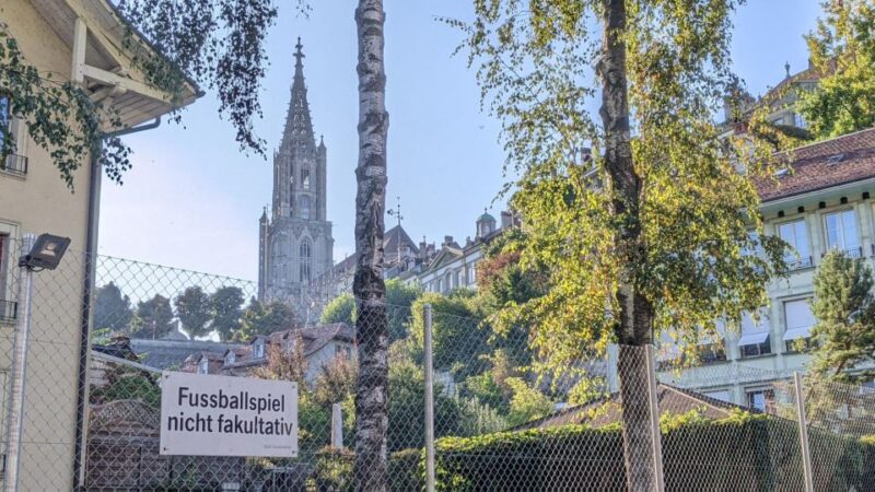 Bern: Highlights and Old Town Self-guided Walk - Bern Cathedral and Aare River