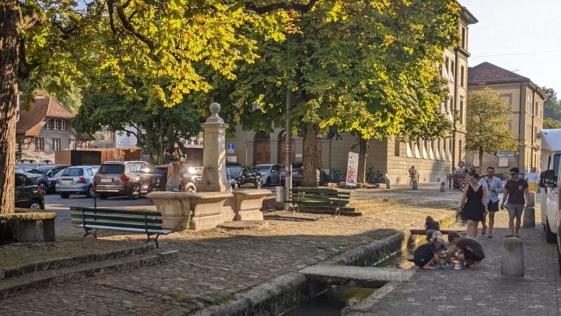 Bern: Highlights and Old Town Self-guided Walk - Charming Fountains and Monuments