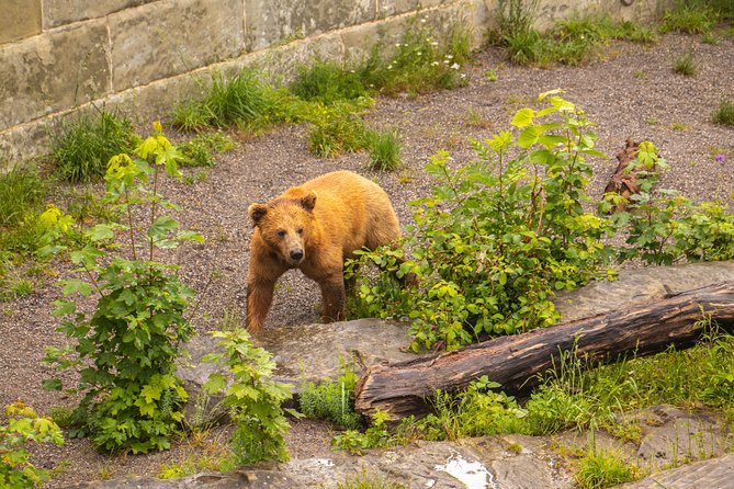 Bern Highlights Small-Group Walking Tour With a Local - Cancellation and Refund Policy
