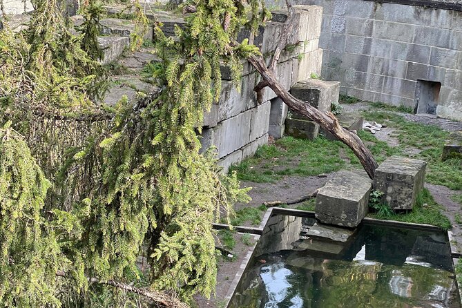 Bern Unesco World Heritage Site Walking Tour - Accessibility and Visitor Requirements