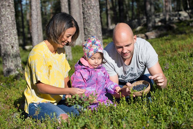 Berry Nice Day - Berry Picking and Juice Making in Rovaniemi - Pickup Information