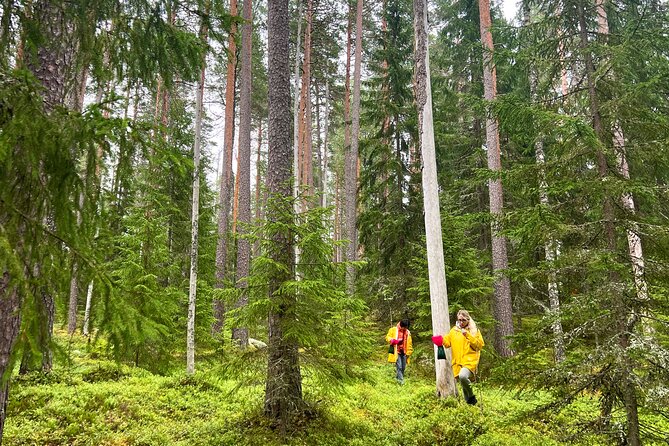 Berry Picking in a National Park - Reviews and Feedback
