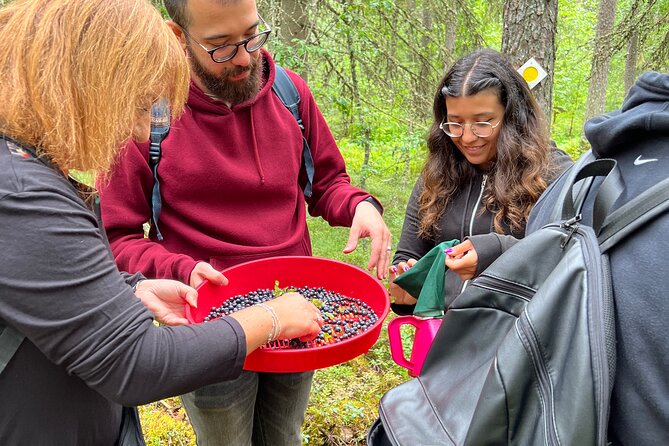 Berry Picking in a National Park - Guided Nature Walk