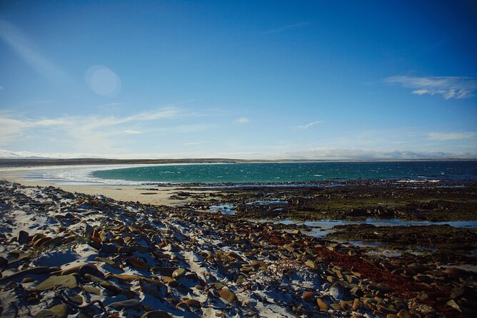 Berthas Beach Penguin Experience - Tour Duration and Schedule