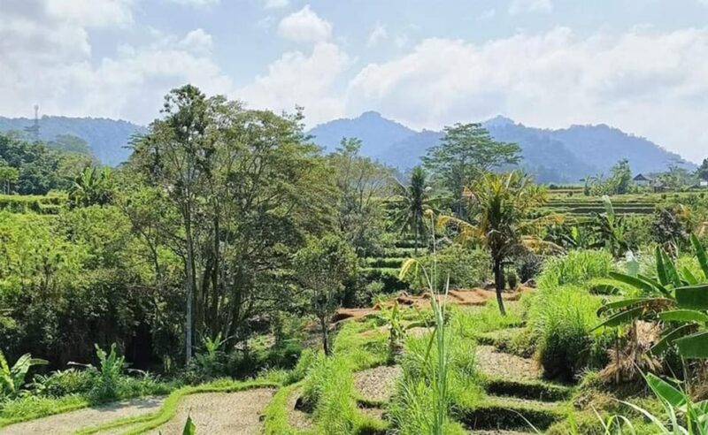 Besakih Temple and Sidemen Tour - Itinerary Details