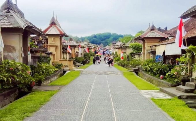 Besakih Temple and Sidemen Tour - Inclusions