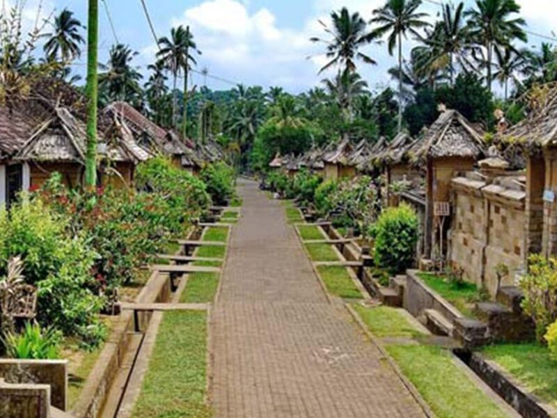 Besakih Temple: Penglipuran, Semarapura Palace / Private Day - Key Points