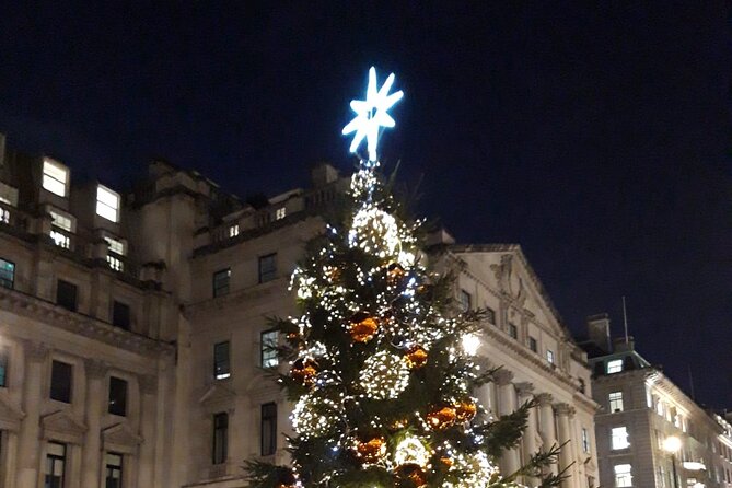 Bespoke Black Cab London Christmas Lights and Sights Private Tour - Private Transportation and Amenities