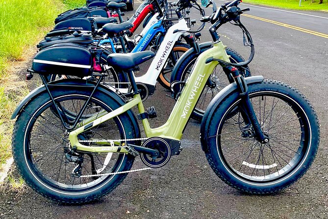Bespoke Private E-Bike Tour Volcano and Waterfalls - Booking and Cancellation Policy