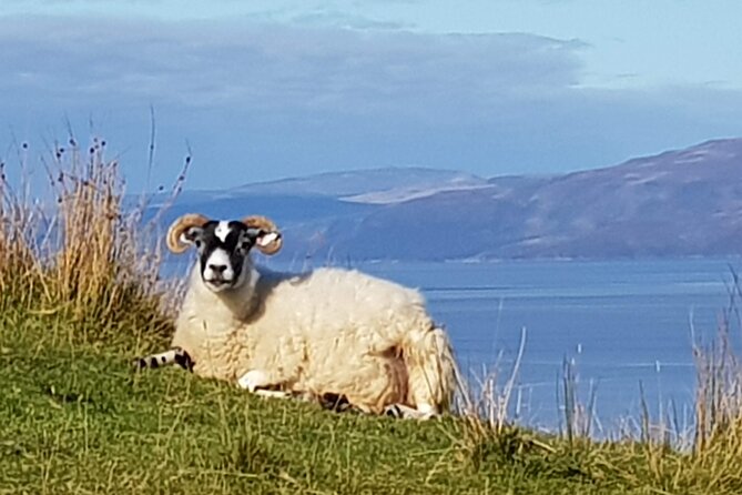 Bespoke Private Tours of Scotland and the Borders - Payment Methods