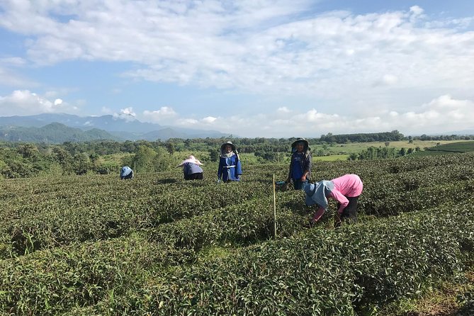 Best 2-Day: Explore Chiang Rai Landmarks From Chiang Mai, Private Trip - Additional Information
