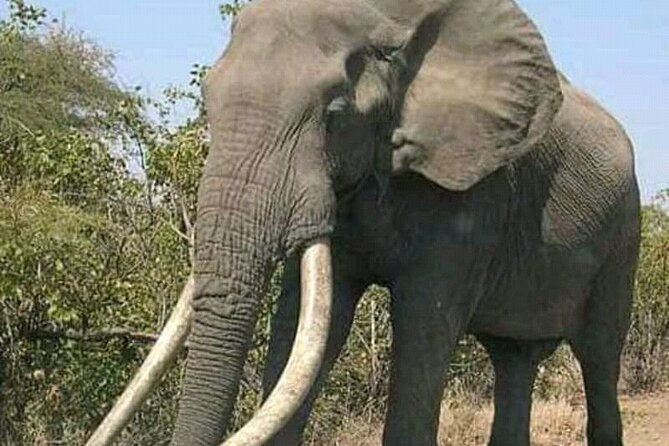Best 3 Days Sharing Safari : Serengeti & Ngorongoro /2025 - Booking and Cancellation Policy