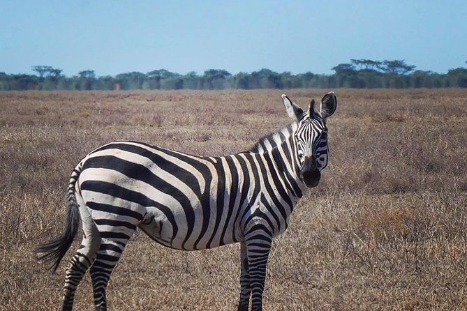 Best 3 Days Tanzania Shared Safari Tarangire Ngorororo Manyara - Booking and Cancellation