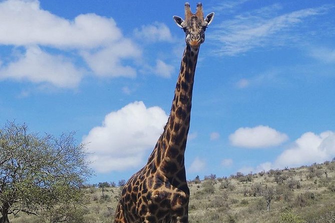 Best 3 Days Tanzania Shared Safari Tarangire Ngorororo Manyara - Recap