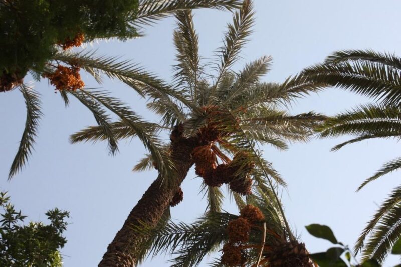 Best 4 Day Desert Round Tour From Marrakech - Journey Through Moroccan Landscapes