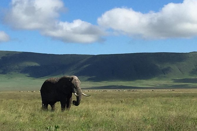 Best 5 Days Tanzania Group Budget Camping Safari - Pickup and Meeting
