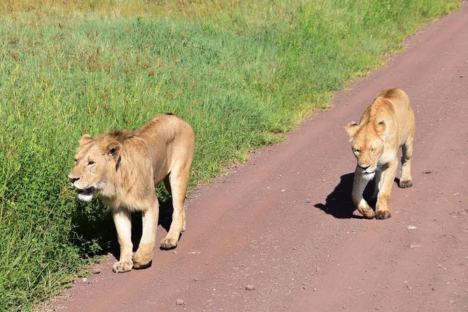 Best 5 Days Tanzania Group Budget Camping Safari - Confirmation and Booking