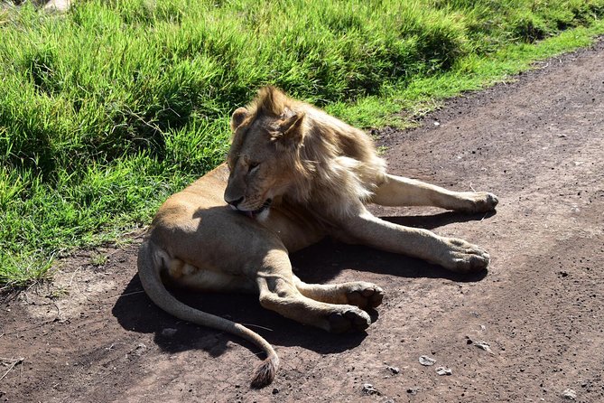 Best 5 Days Tanzania Group Budget Camping Safari - Customer Reviews