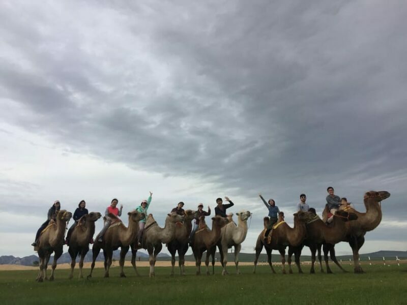 Best 6-Day Gobi Tour Discover Mongolia - Key Points