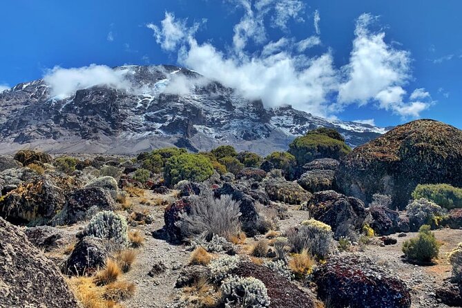 Best 6 Days Kilimanjaro Climbing via Marangu Route  &2025 - Reviews and Success Rate