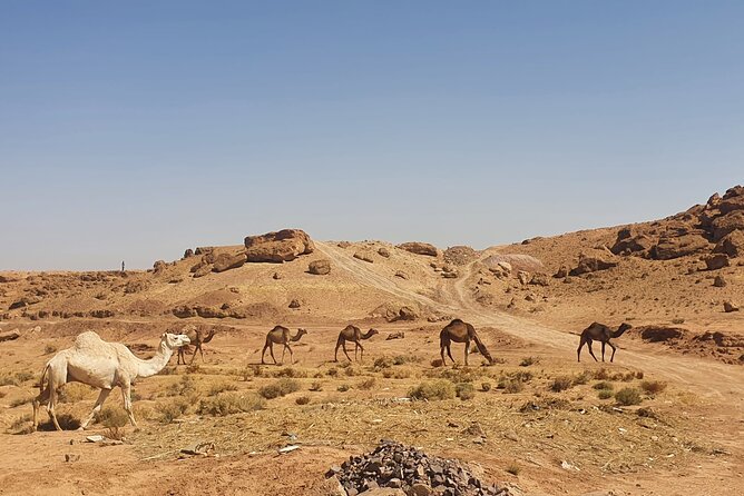 Best 9 Days Desert Tour and Imperial Cities From Casablanca - Accessibility and Requirements