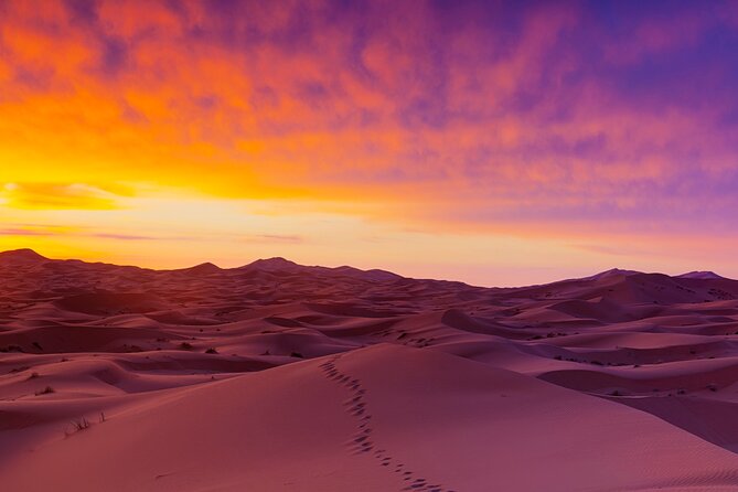 Best 9 Days Tour From Casablanca via Desert & Marrakech - Casablanca Pickup and Airport Arrival