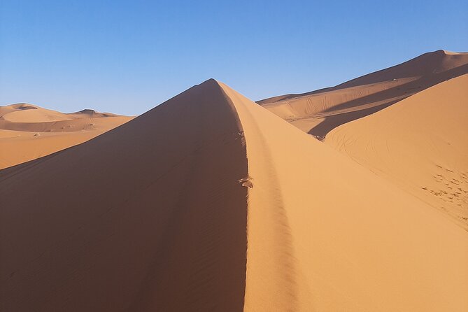 Best 9 Days Tour From Casablanca via Desert & Marrakech - Returning to Casablanca and Departure