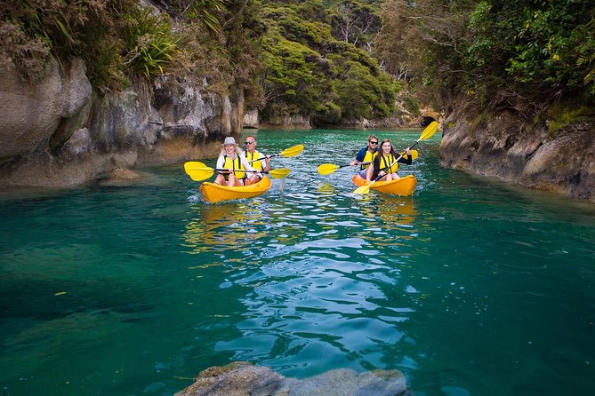 Best Abel Tasman Day Trip - Accessibility and Special Accommodations