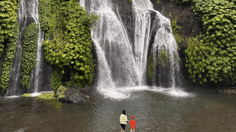 Best Attraction Waterfall and Temple North of Bali Tour - Tour Experience