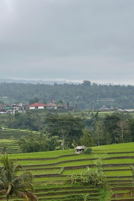 Best Attraction Waterfall and Temple North of Bali Tour - Pickup and Drop-off