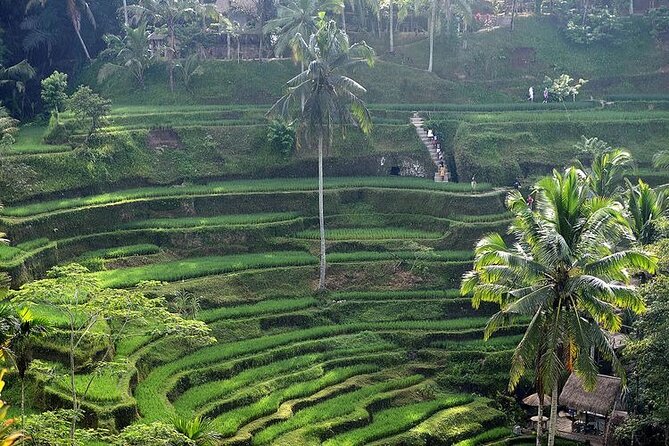 Best Bali Day Tour - Pickup Information