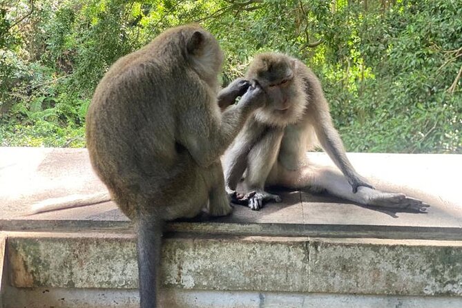 Best Bali Day Tour - Pricing and Reviews