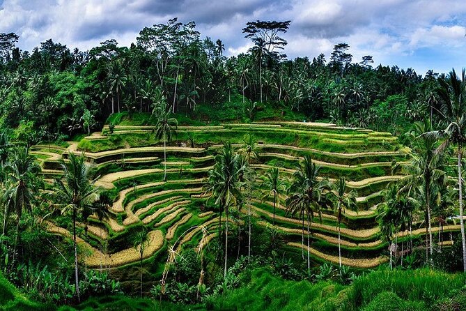 Best Bali Day Tour - Cancellation Policy