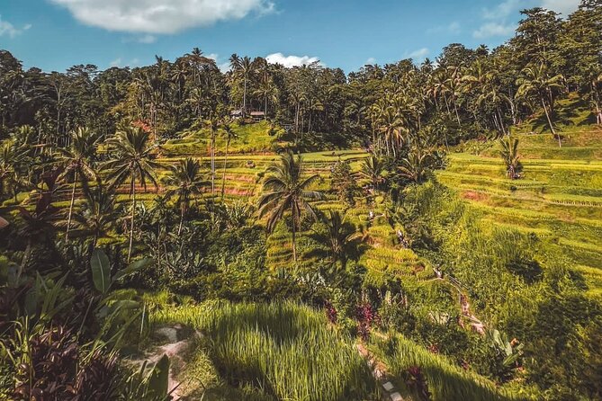 Best Bali Day Tour - Testimonials