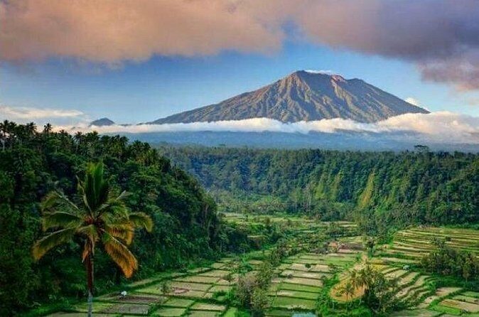 Best bali transport service - custom your own itinerary - Real Traveler Perspectives: Authentic Feedback
