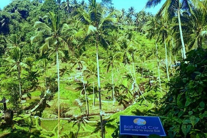 Best bali transport service - custom your own itinerary - Transportation and Timing: What to Expect