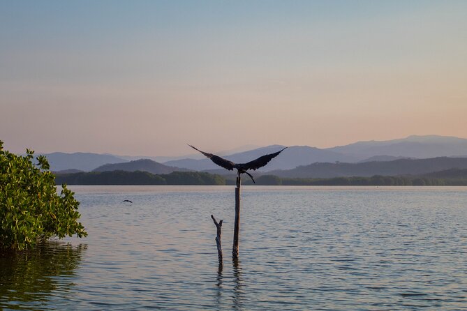 Best Birdwatching Lagoon Tour - Included Amenities