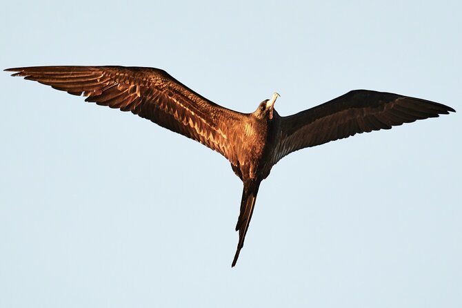 Best Birdwatching Lagoon Tour - Lagoon Highlights