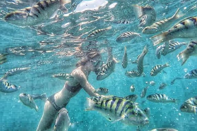 Best Blue Lagoon Snorkeling and Tegenungan Waterfall - Cascading Tegenungan Waterfall