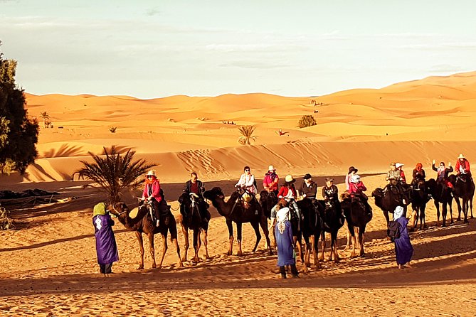 Best Casablanca Desert Trips - Private Transportation With A/C