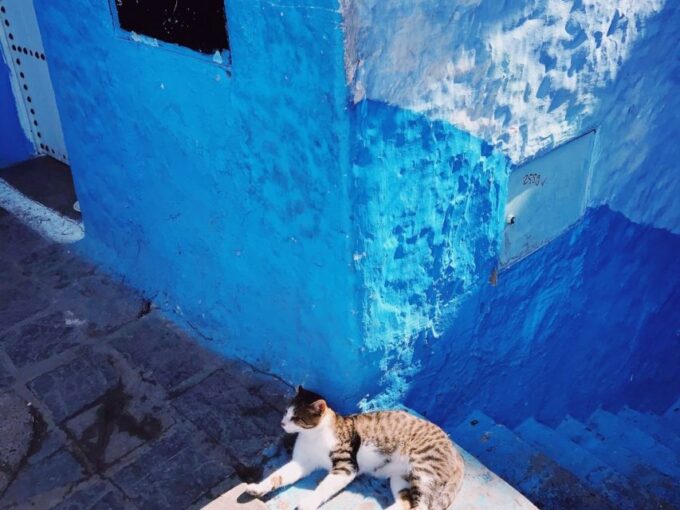 Best Chefchaouen Day Tour From Fez - Explore Chefchaouens Blue Streets
