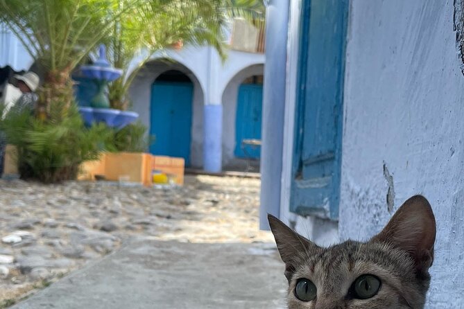 Best Chefchaouen Day Trip From Tangier - Itinerary Customization Options