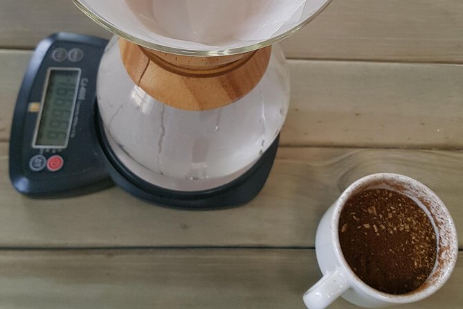 Best Coffee Brewing Workshop in AVOEDEN Cafe - Bilingual Tour Experience