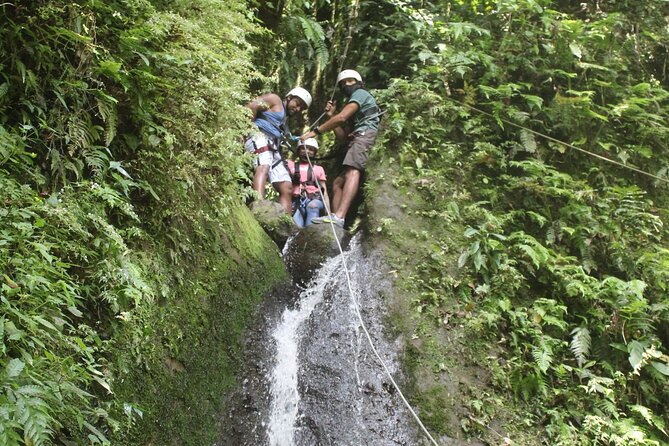 Best Combination: Rafting Level III With Canyoning in Waterfalls With Tarzan Swing , the Nearest San Jose - Customer Feedback and Ratings