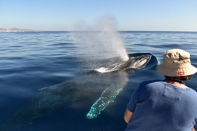 BEST COMBO CABO ARCH CLEAR BOAT & CITY TOUR La Paz & Todos Santos - Customer Experiences