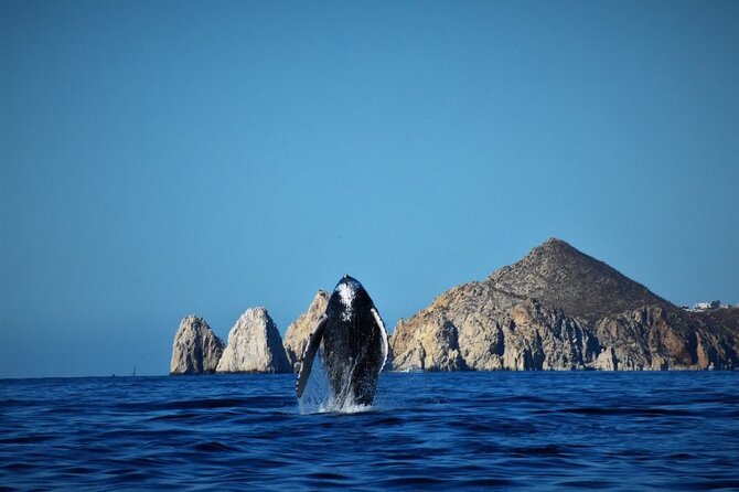 BEST COMBO CABO ARCH CLEAR BOAT & CITY TOUR La Paz & Todos Santos - Cabo Arch Clear Boat Excursion