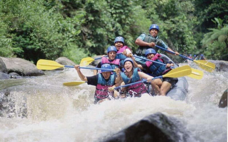 Best Deal Bali Rafting All-Inclusive - Key Points