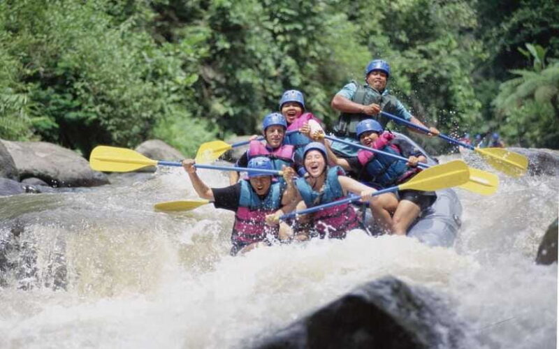 Best Deal Bali Rafting All-Inclusive - Experience Highlights