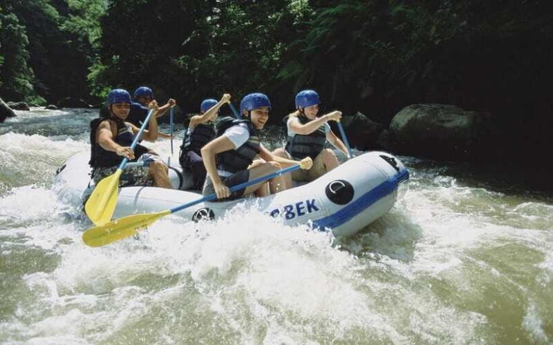 Best Deal Bali Rafting All-Inclusive - Stunning Natural Scenery