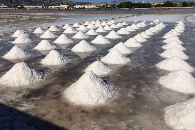 Best Excursion in Western Sicily to Erice, Trapani Salt Flats From Palermo - Drivers Historical Insights